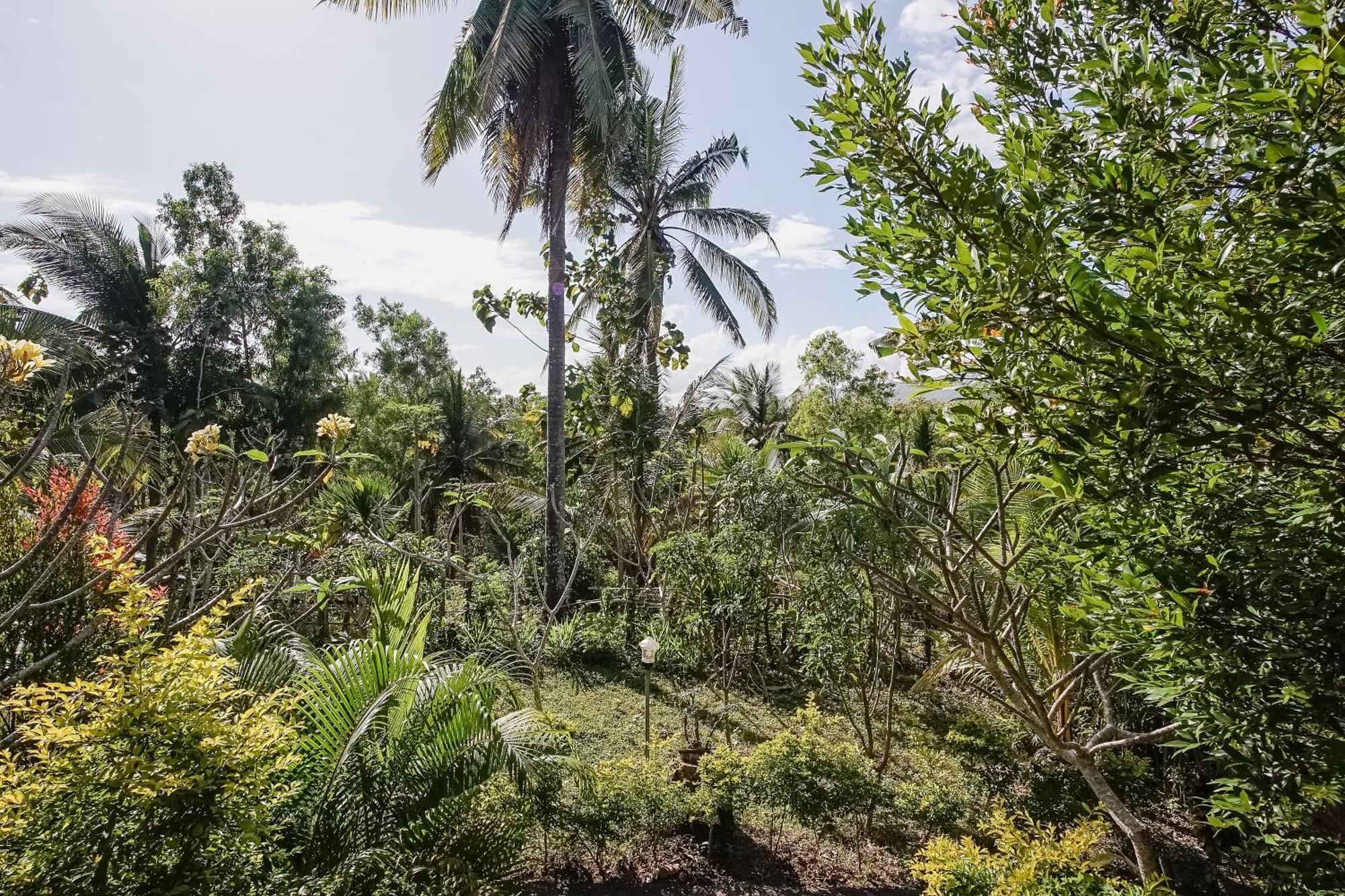 Frühstückspension Penida Lapaya Nusa Penida